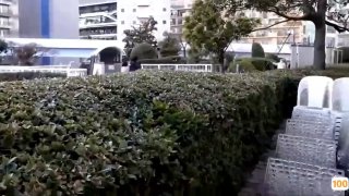 继兄和继姐走运了